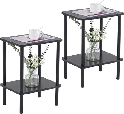 Apicizon 2 Tier End Table Set of 2, Small Side Table by APICIZON