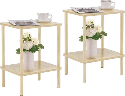 Apicizon 2 Tier End Table Set of 2, Small Side Table by APICIZON