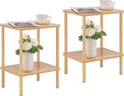 Apicizon 2 Tier End Table Set of 2, Small Side Table by APICIZON