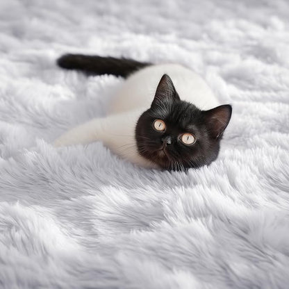 PAGISOFE Fluffy Shaggy Area Rug 5x8, Plush Rugs - Image 2