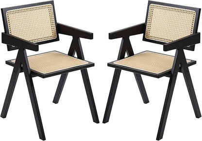Furlide Rattan Dining Chairs Set of 2, Modern Mid Century Dining Chairs by Furlide