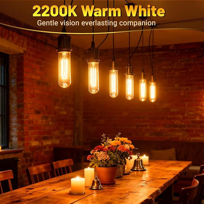 T10 Tubular Light Bulbs 40 Watt Incandescent Light Bulb, T10 Bulb, 120V 40W - Image 3