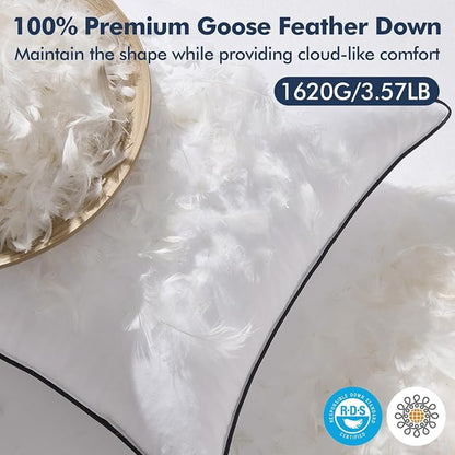 MIULEE Goose Feather Down 24x24 Pillow Insert Set of 2 - Image 2