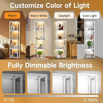 OUTON 67" Glass Display Shelf - Image 3