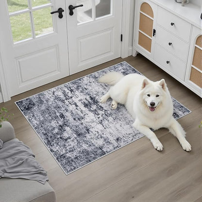 Washable Area Rug 2x3 Entryway Rug: Washable Modern Abstract Soft Thin Rug - Image 2