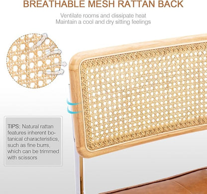 Zesthouse Natural Rattan Dining Chairs Set of 6, Modern Dining Room Chairs - Image 4