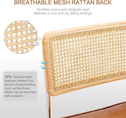 Zesthouse Natural Rattan Dining Chairs Set of 4, Modern Dining Room Chairs - Image 4