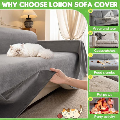 Loiion Cat Scratch Furniture Protector - Image 5