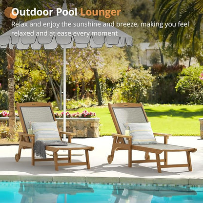 LUE BONA Chaise Lounge Chair Outdoor, HDPS and HDPE Wicker Material, Patio - Image 2