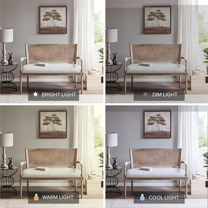 Madison Park Willshire Natural Rattan Settee, Upholstered Seat - Image 6