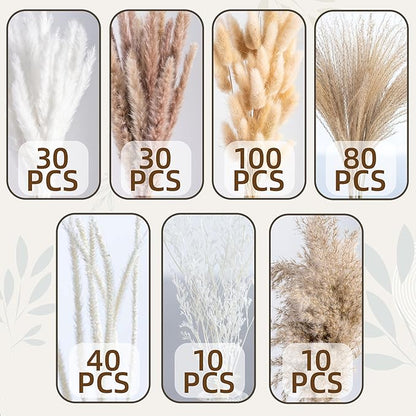 300PCS Natural Pampas Grass Mix Bouquet | Dried Pampas Bouquet - Image 4