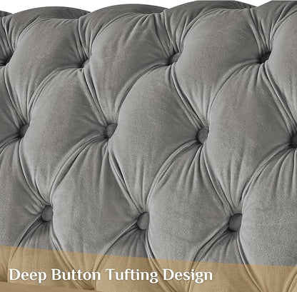 DAMAIFROM Mid Century Modern Chesterfield Sofa Couch, 2 Seat Tufted Sofas - Image 5
