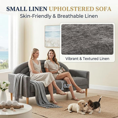 63" Small Loveseat Sofa for Small Spaces, Mid Century Modern Sofa, Linen - Image 4